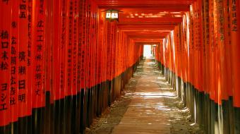 Групповой тур Золотое кольцо Японии. Октябрь