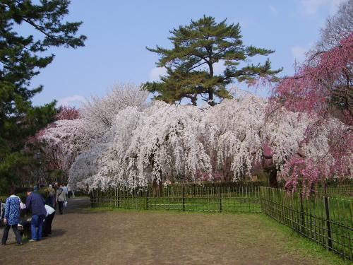 Императорский парк Киото